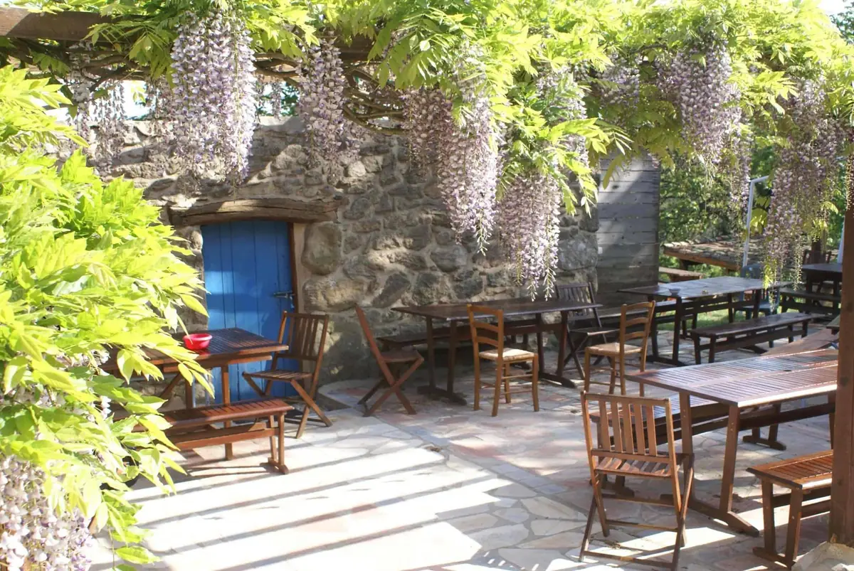 La grande terrasse ombragée sous la glycine en fleurs, avec ses tables et ses chaises